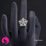 Liangya Liren Platinum White Zircon Ring – Light Luxury Floral Geometric Band